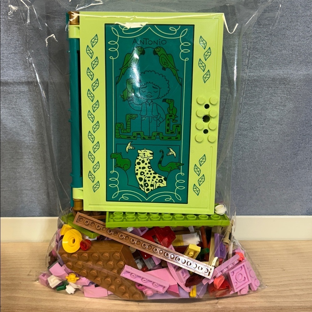 LEGO Disney Princess Encanto Antonio’s Magical Door and a bag of other kit